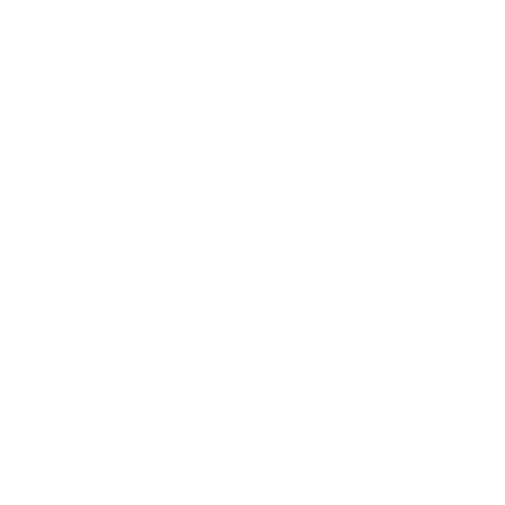 DissenyDaPontev2 blanc web